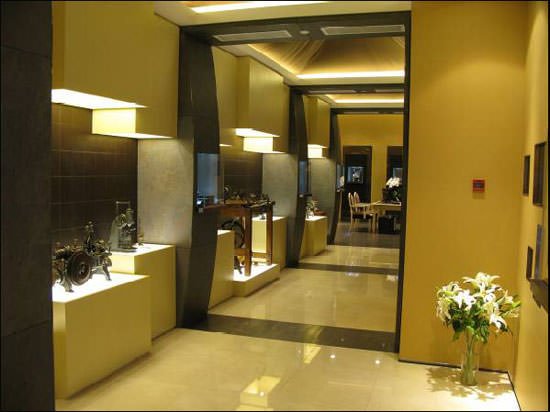Grand opening DeWitt flagship store in China