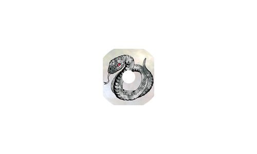 The limited-edition Turbine Snake by Perrelet 