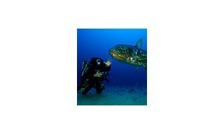 Blancpain Supports the “Gombessa” Project