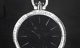 INTERNATIONAL WATCH CO., Schaffhausen