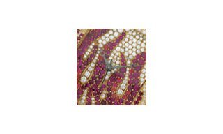 Charles Oudin Jewellery Watches