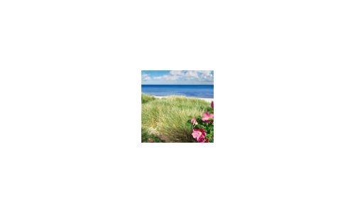 Skagen, a little known phenomenon