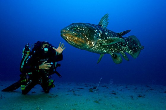 Blancpain Supports the “Gombessa” Project