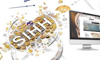 EUROPA STAR LAUNCHES NEW WEBSITES