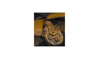 Mechanical Entomology - Four Artistic Visions at the M.A.D. Gallery
