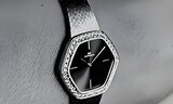 INTERNATIONAL WATCH CO., IWC