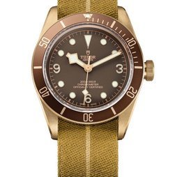 Tudor Heritage Black Bay Bronze