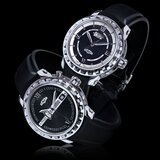 DeWitt's Limited Edition Academia Steel