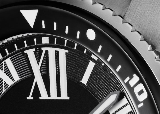 SIHH 2014 - Form and function from CARTIER