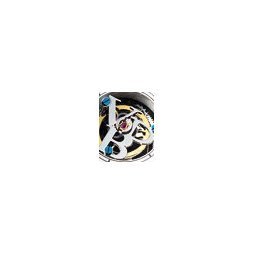 4 SAISONS TOURBILLON by Van Der Bauwede