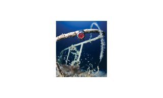 Reactor's ground-breaking ‘Gamma' Watch endures extreme underwater testing 