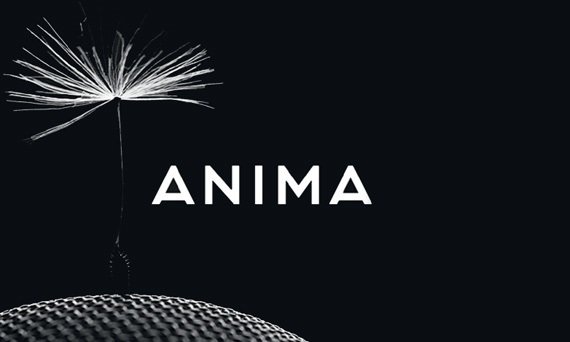 Anima Mit What to expect from Swedish start-up Anima?