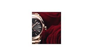 Valentine's Day Selection - Omega's Seamaster Aqua Terra GMT