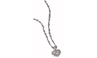 DeMerini's Guarded Heart