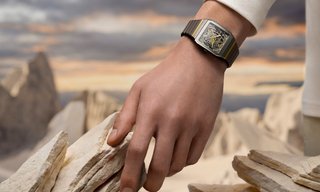 Rado Anatom Skeleton - Beauty is more than skin deep