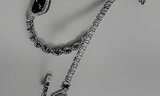 CORUM
