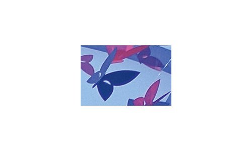The year of butterflies and eagles