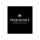 Pequignet Manufacture Announces its Continuation Plan