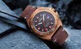Delma Shell Star Bronze 