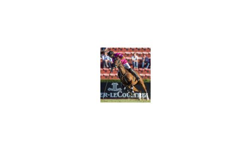 Jaeger-LeCoultre is the Official Sponsor of the 120th Argentine Polo Open of Palermo