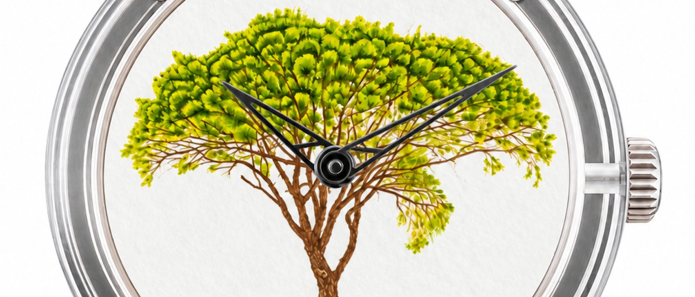 XRby Le Pin Parasol