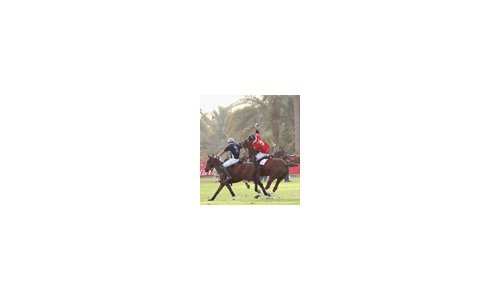 Cartier sparkled in their own Polo Challenge