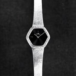 INTERNATIONAL WATCH CO., IWC
