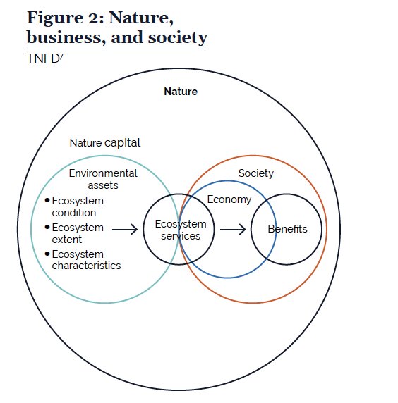  Why Nature matters as explained by the The Taskforce on Nature-related Financial Disclosures 
