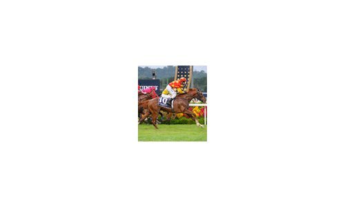 The Prestigious Longines Singapore Gold Cup 2013 Raises $374,483 for Charity