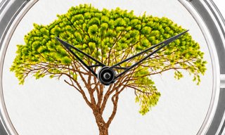 XRby Le Pin Parasol