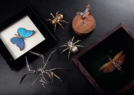 Mechanical Entomology - Four Artistic Visions at the M.A.D. Gallery
