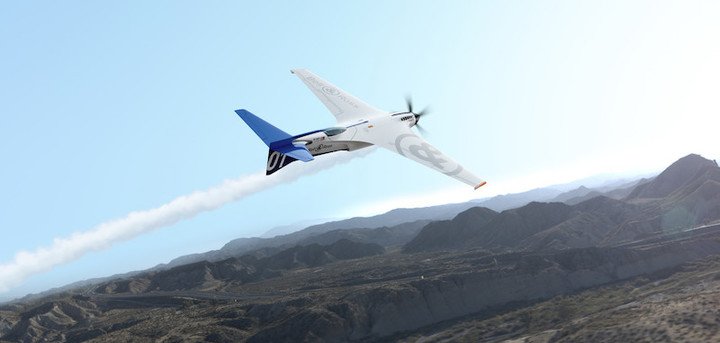 BR-Bird in flight