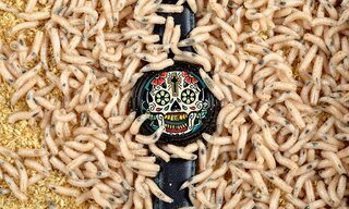 Mr Jones Watches, London's cult brand