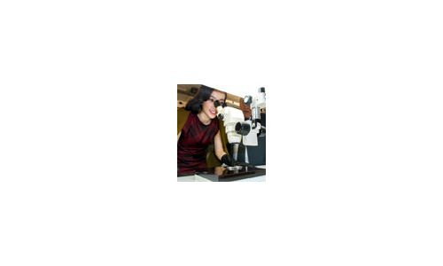 Li Bingbing Visits Gucci Timepieces' Ateliers and New Stand at BaselWorld