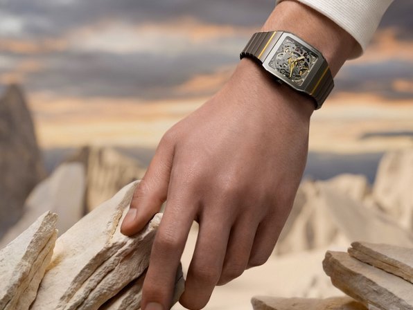 Rado Anatom Skeleton - Beauty is more than skin deep
