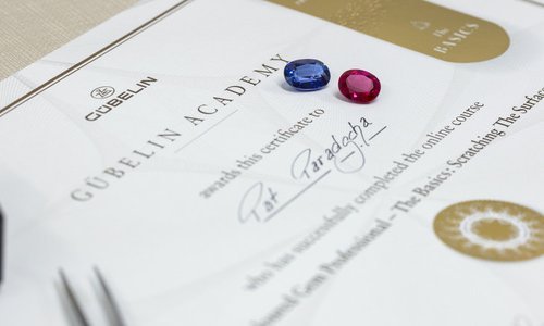 The Gübelin Academy launches an online course