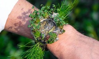 H. Moser & Cie Nature watch covered in live plants