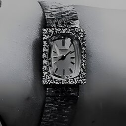 INTERNATIONAL WATCH CO.