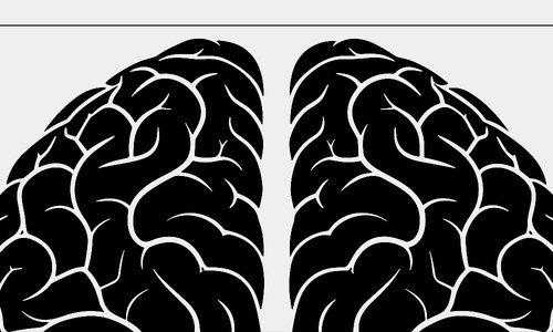 The basics of AI: ten terms that matter today