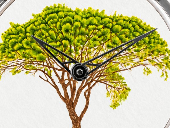 XRby Le Pin Parasol