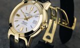 Bertolucci Uomo Gold