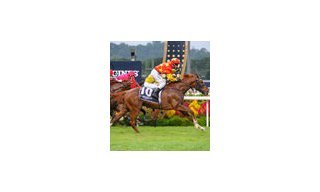 The Prestigious Longines Singapore Gold Cup 2013 Raises $374,483 for Charity