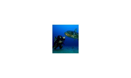 Blancpain Supports the “Gombessa” Project