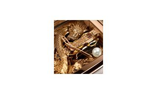 Corum Presents The Golden Bridge Dragon