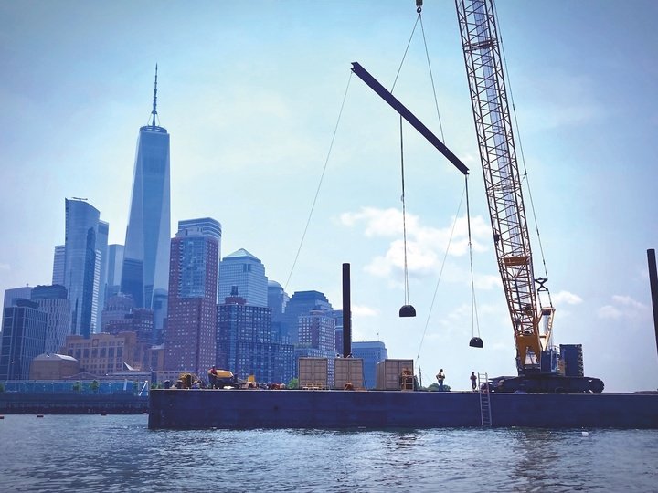 Centuries ago, New York harbour was home to 890 square miles of oyster beds. An adult oyster can filter up to 227 litres of water per day.