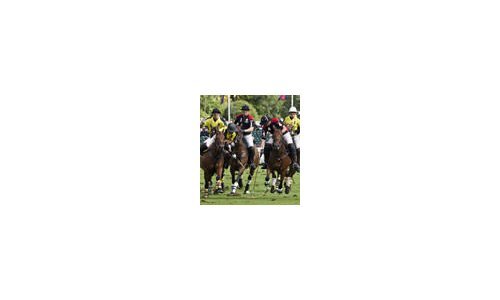 The DeWitt Polo Cup
