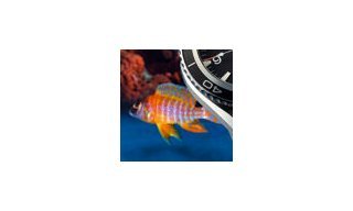 Omega's Planet Ocean makes waves 