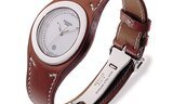 Hermès Harnais