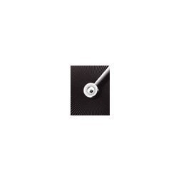 DELIRIUM LA NUIT by Concord