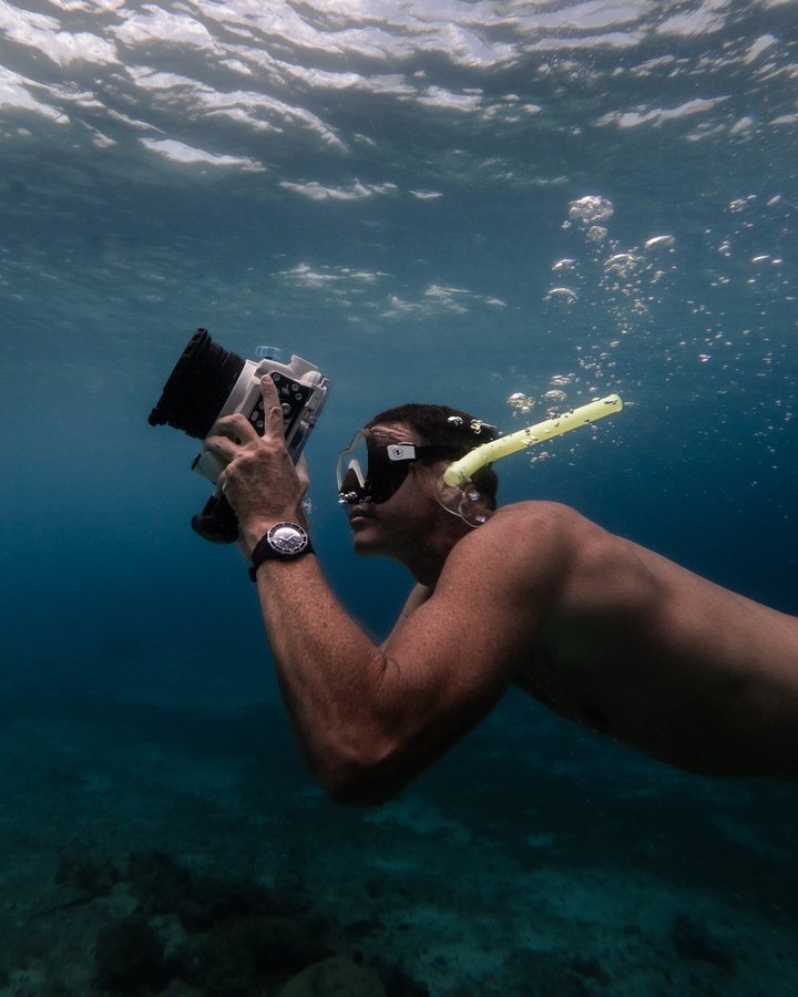 Ulysse Nardin gives back with the Diver [Hammerhead Shark]
